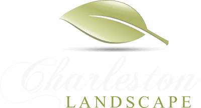 Charleston Landscape